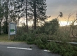 Freiwillige Feuerwehr Gedersdorf